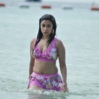Payal Gosh Hot in Bikini Pictures | Picture 65323